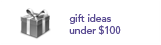gift ideas under $100